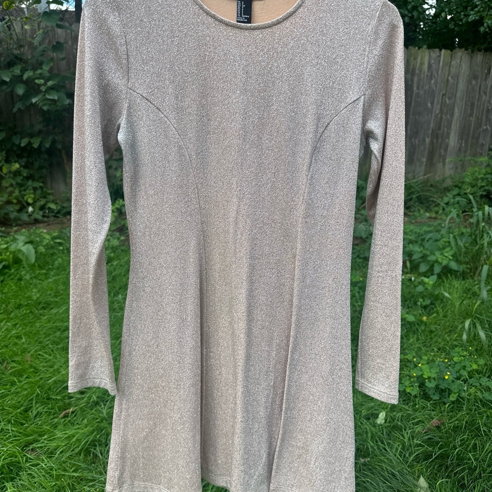 Elegant Metallic Dress